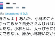 【悲報】巨人小林ファン、イライラのあまりついに一線を超えてしまう