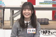 【日向坂46】若林さんの贔屓ネタ、やはり必要という結論が出る