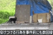 岐阜県のホームレス殺人事件が想像以上のムナクソ事件だと判明。「猫
