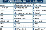2025年 新語・流行語大賞のノミネート30語が発表される