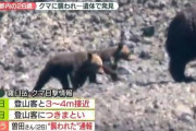 【北海道】登山中の男性を茂みの中へ引きずっていくクマに対して　友人は素手で戦っていた