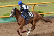 今村聖奈、初めての函館で調教騎乗　騎乗停止中も意欲的に技術磨く　「もっと寒いかと思ってた」