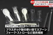 小泉環境相「プラ製のスプーンを有料化します」 ワイ「じゃあスマホで食うわ」 小泉「！？」