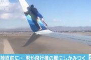 【画像】飛行機にタダ乗りしようとした男、逮捕されるｗｗｗｗｗｗｗｗｗｗｗｗｗｗｗｗｗｗｗｗｗｗｗｗｗｗｗｗｗｗ