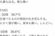 武藤小麟さんのコロナ療養中メモがかなり生々しい件