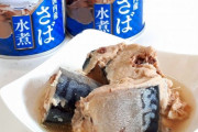 さばの水煮の缶詰のおいしい食べ方教えて