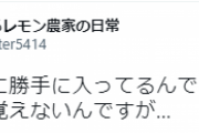 【悲報】TBS「アイアム冒険少年」 他人の畑に無断侵入してレモンを食ったとして炎上 →　ツイート主が経緯を説明 TV局は悪くなかった