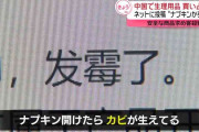 中国で生理用品の品質騒動…買い占めも　ネットに投稿“ナプキンからカビ”　安全な商品求め客殺到