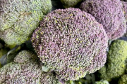 八百屋さん「紫色のブロッコリーを避けないで！実は緑色のモノよりも◯◯なんです」→知らなかったとの声多数！