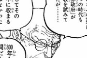 【ONEPIECE -ワンピース】世界政府「ゴムゴムは800年政府が追い続けた伝説の実だからさぁｗｗｗ」