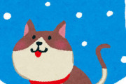 【画像あり】ネッコ「はえー、積もったなぁ…」