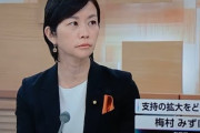 【毎日新聞】人気取りで「外国人バッシング」あおる政治家　8/4