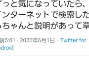 【悲報】駐日ジョージア代理大使、「草」の意味を知る