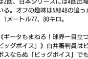 【悲報】ヤフートップ「佐々木朗希を脅した白井主審はAKBオタク」→ヤフコメ大炎上