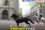 英王室を警護する騎兵隊の馬5頭が暴れ出して市街地を暴走、ベンツやバスに衝突…罰金バッキンガムよ！