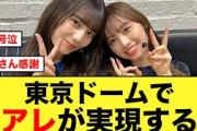 【日向坂46】東京ドームで全おひさま待望の“アレ”が実現する