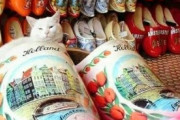 【ねこ画像】本屋さんでゆったり寛ぐ看板猫さん…残念ながら、おさわり禁止のようですねwww