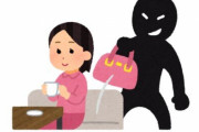 【世も末】女（20）さん、"ここ"に行きたすぎて温浴施設で女子高生のバッグを盗んで逮捕される
