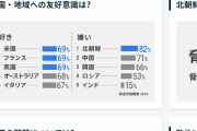 世論調査：韓国、日本人からの嫌われ具合で中国に追いつきそう……朝鮮半島で（悪）夢のツートップも