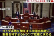 【米下院】ウイグル人権法案可決
