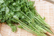 スーパーで売っていたパクチー、商品説明が辛辣すぎるｗｗｗｗｗｗｗｗｗ