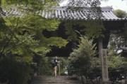 海外「この映像好き！」姫路市にある書写山圓教寺を外国人が一人でハイキング！←想像以上に素敵な場所だった