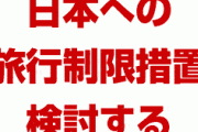 韓国政府「日本への渡航制限が必要だ」　完全に終わったな…