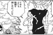 ベジータ「てめえが魔人ブウか、よくも悟飯を殺しやがったな」←こいつ