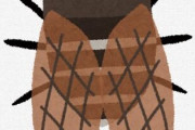 「セミってエビみたいで超美味い！」→自治体「セミの幼虫を食用に取るのはやめてください（怒）」