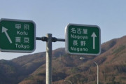 【画像】諏訪ICの看板、新潟行きたい時に5秒でどっち行くか判別できる？？