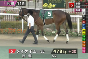 【キーンランドC】メイケイエール　＋２０キロで出走
