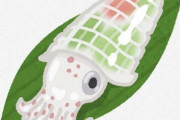 もしかして「イカ?の刺身はそこまでうまくない」って認識がメジャーなんか？