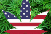 【速報】大麻、全米で合法化ｗｗｗｗ
