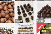 【悲報】　メルカリ民、遂に　『ドングリ』　を売り始めるｗｗｗｗｗｗｗ(画像あり)
