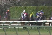 【競馬】中山グランドジャンプ３連覇を達成したカラジがオーストラリアで競馬殿堂入り