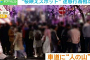 道の真ん中で堂々と桜を撮影…外国人観光客「彼女の素敵な写真のため。危険感じない」 車迫り“あわや”な瞬間も 迷惑行為相次ぐ