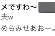 【ホロライブ】スバル「人生初胃カメラしたってサロメちゃんに報告したら返事尖りすぎてて笑ったやつ😂」