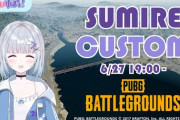 【PUBG】すみれカスタム 開催決定【ぶいすぽ】