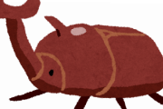 哀川翔にツノが7つに分かれたカブトムシが届くｗｗｗｗｗｗｗｗｗｗｗ