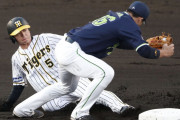 【野球】阪神３年目の近本が選手会長に「梅野さんと相談しながらやっていきたい」