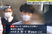 【悲報】イケメン、JCとわいせつな行為をして逮捕　⇒ 　女さん「イケメンだから無罪！」と擁護し、JCを叩くｗｗｗ