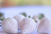外国人が選んだ呪われそうな食べ物　日本で人気の白イチゴもランクイン