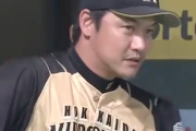 日ハムはなんでまた来年金子誠打撃コーチやねん