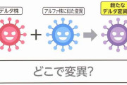 デルタ株より感染力が強い可能性のある新たな変異株が発見されてしまう