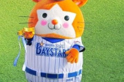 【悲報】横浜DeNAベイスターズさん、11球団に勝ってるところがマスコットの可愛さくらいしかない