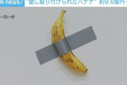 【朗報】バナナ、1本9億円で落札される