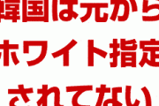 韓国「フッ化水素はドイツ企業から輸入可能だ！」　ドイツ「韓国はホワイト国じゃないって言ってるだろ」　このやり取り何回目だよ…
