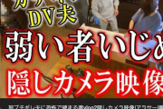 【動画】隠し撮りされた結婚生活がヤバ過ぎると話題に