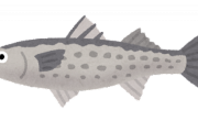この時期に釣れるうんまい魚