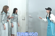 【日向坂46】プライベートでのメンバー遭遇話も！『しし庵』Vol.2が公開！